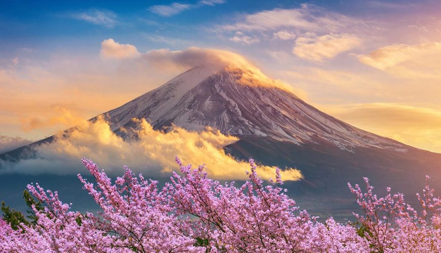 هتل های فی فی